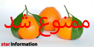 خرید پرتقال در ایران ممنوع شد