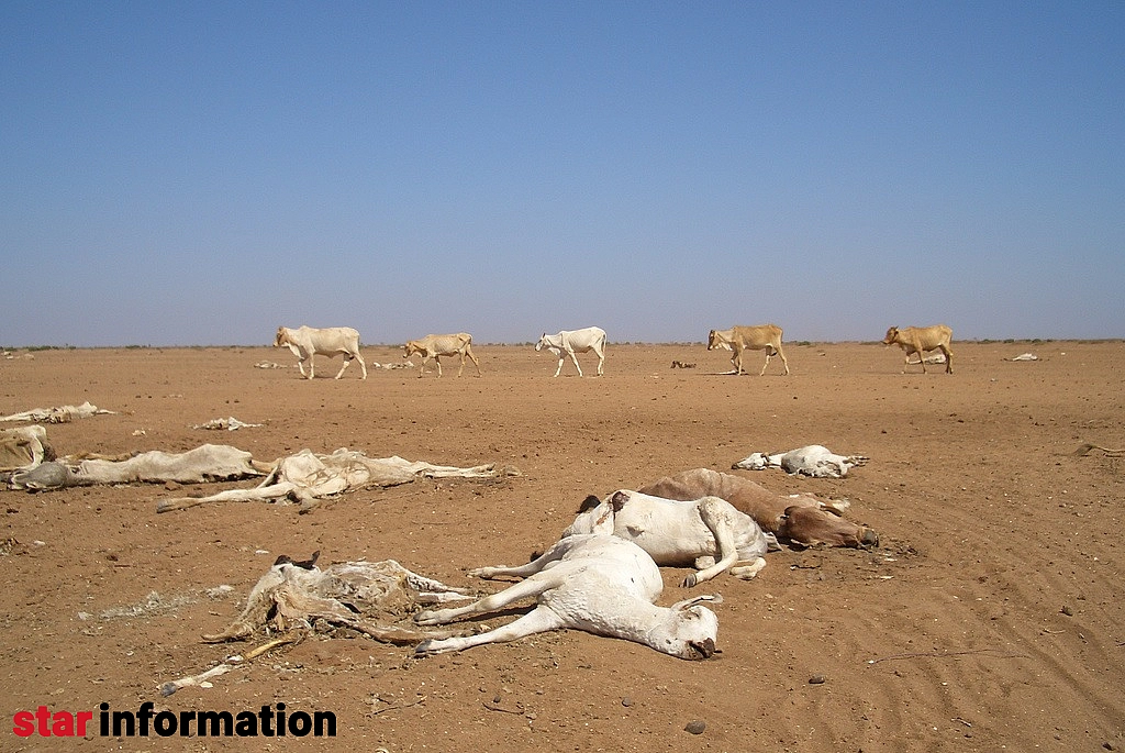 تأثیر بحران آب بر زندگی روزمره شهروندان تهرانی